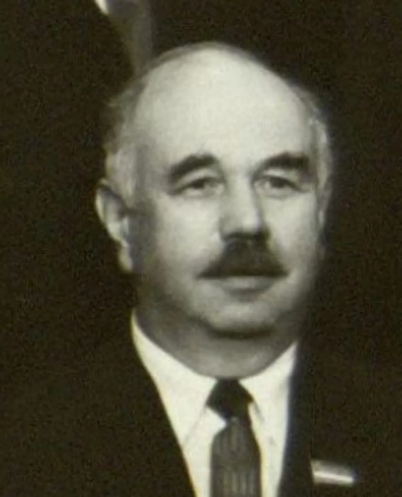Zimanas Genrikas