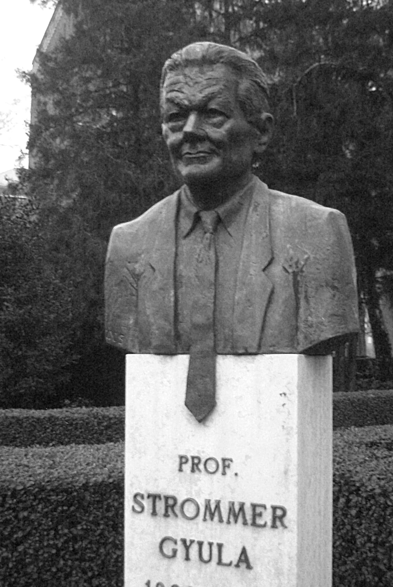 Gyula Strommer
