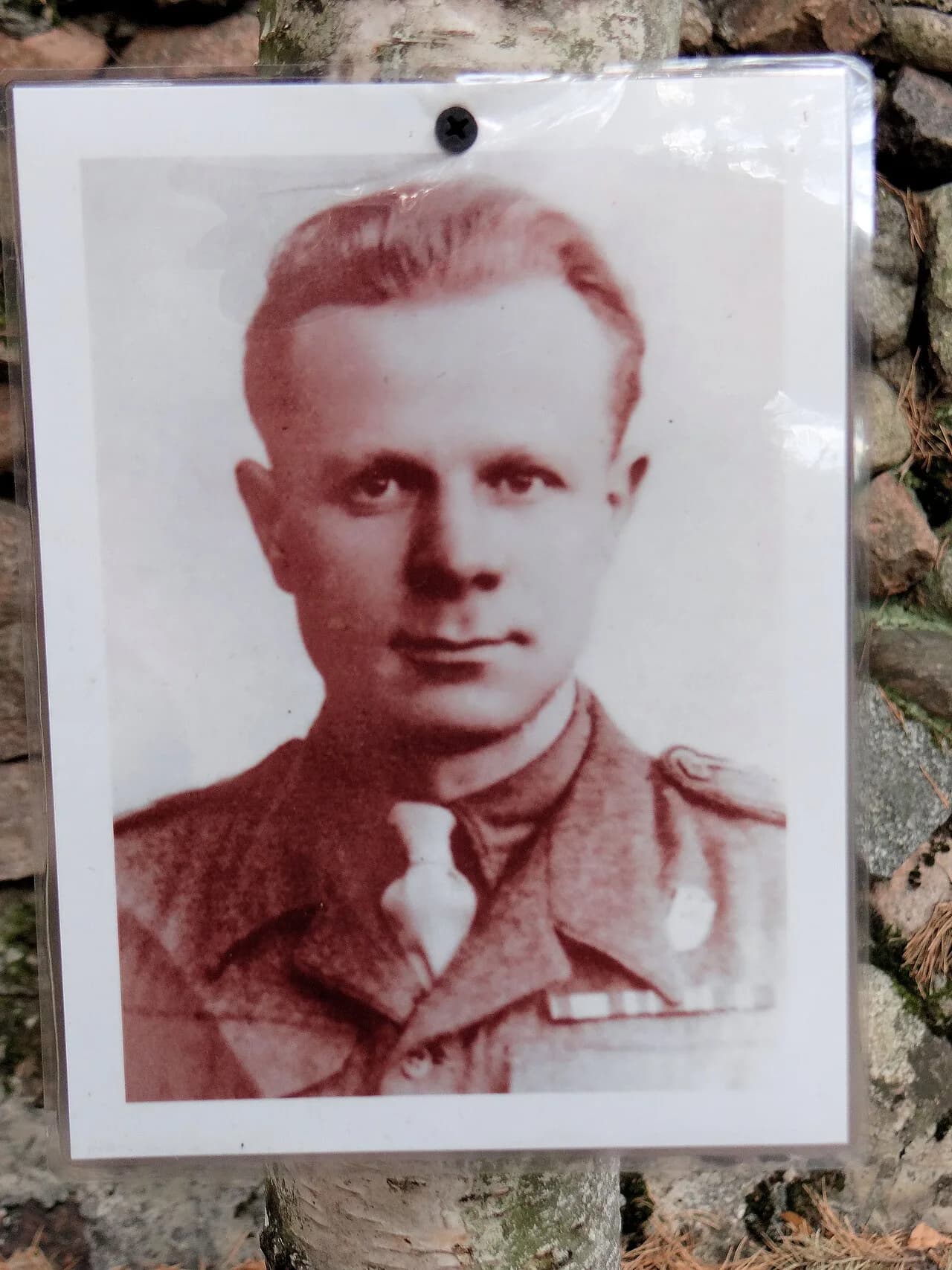 Romuald Rodziewicz