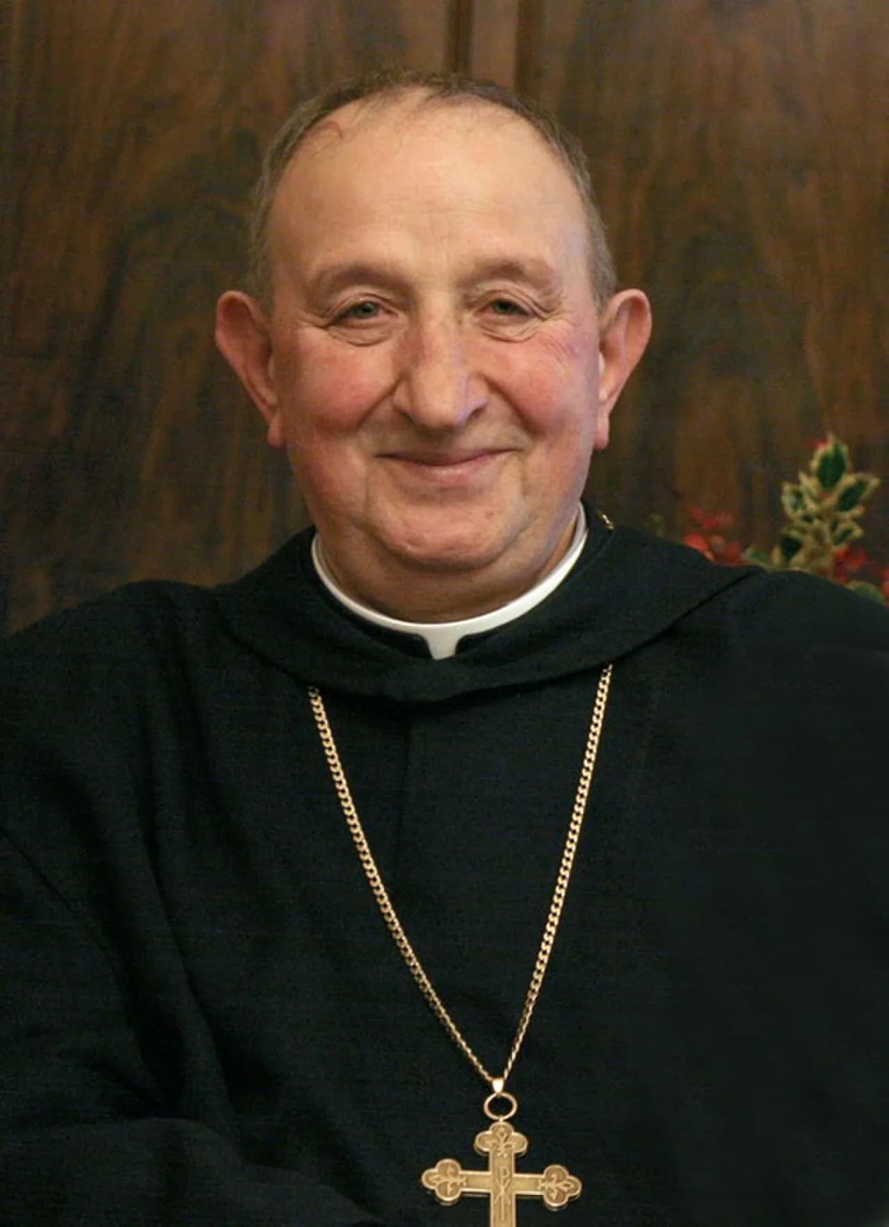 Giustino Farnedi