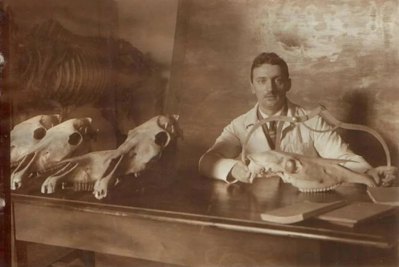 Tadeusz Vetulani