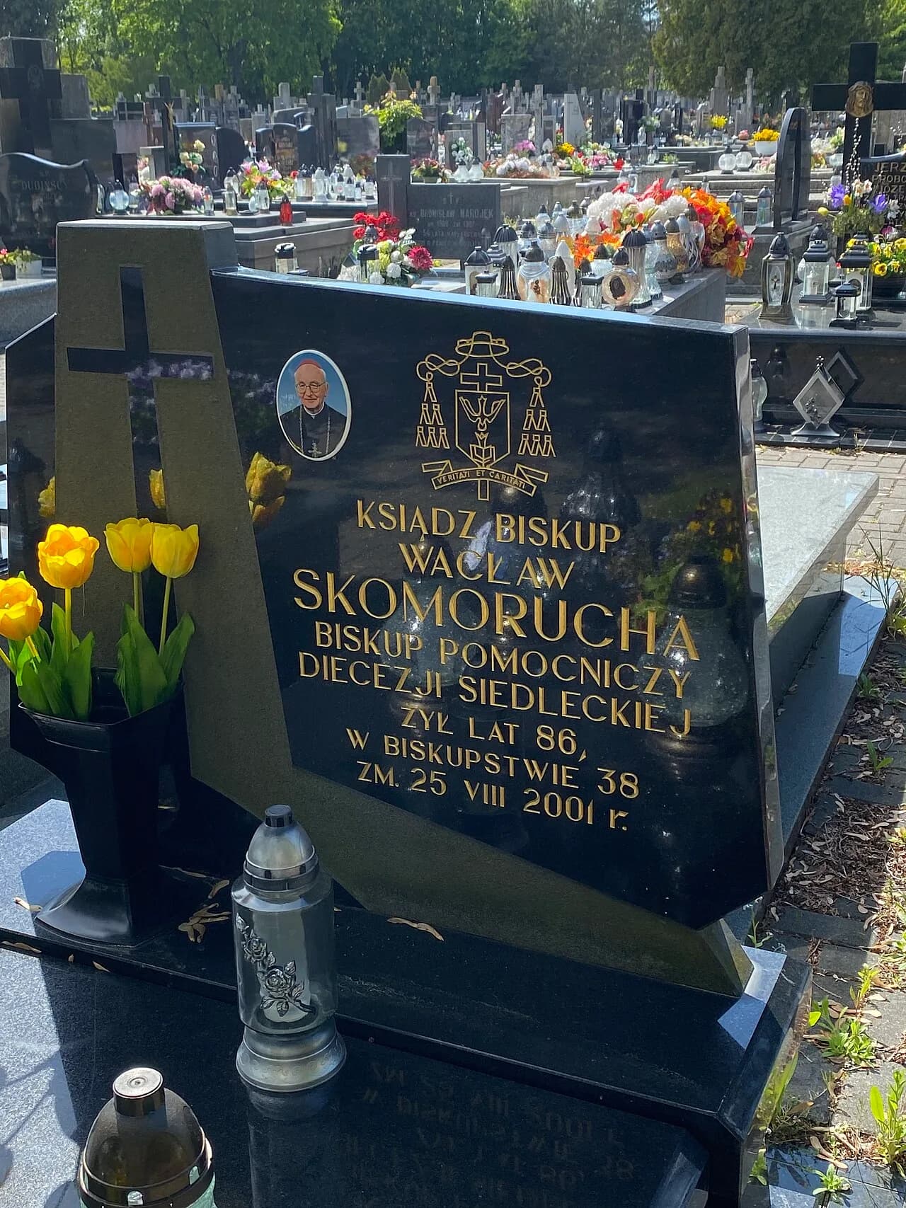 Wacław Skomorucha