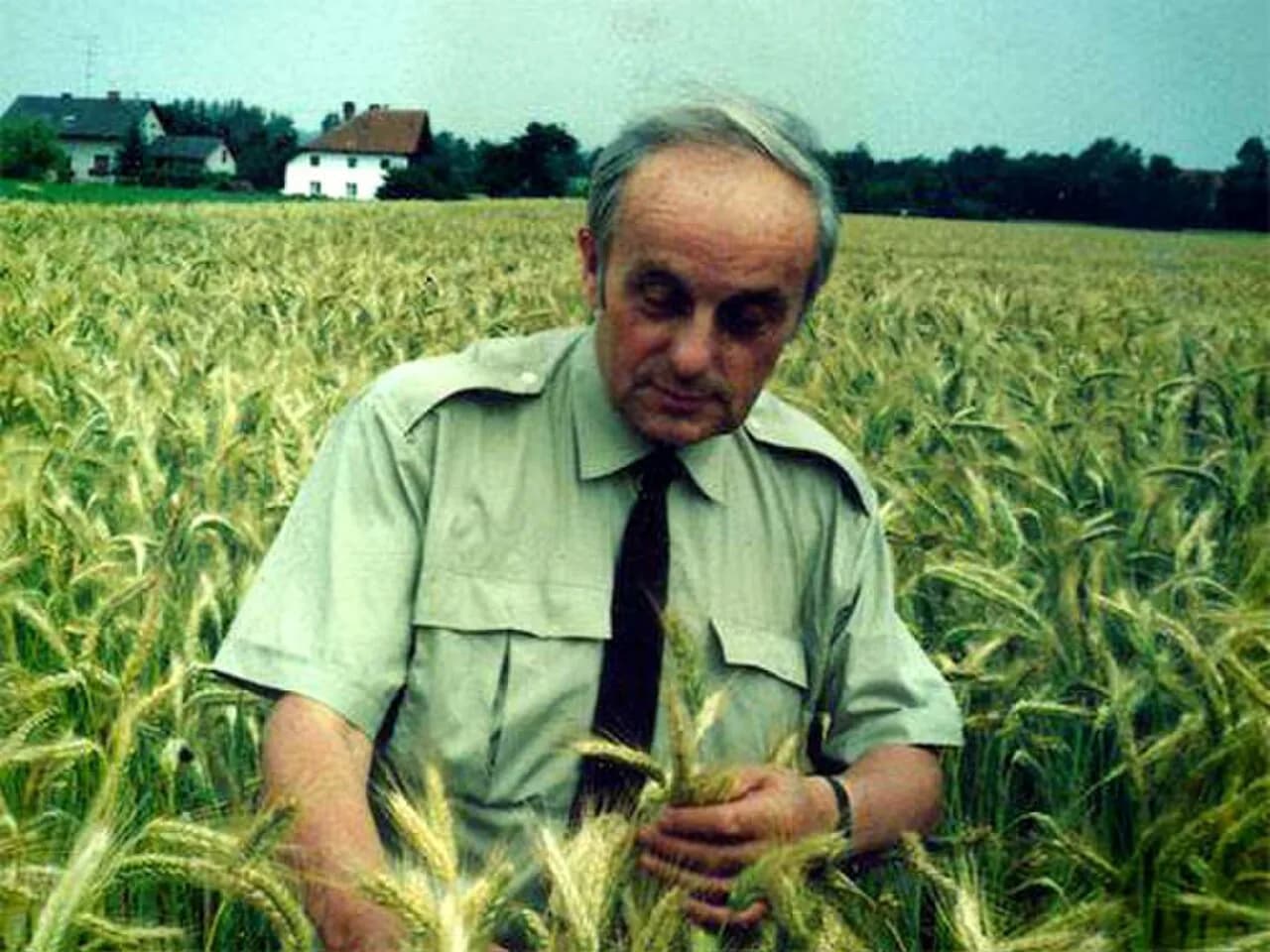 Walenty Maćkowiak