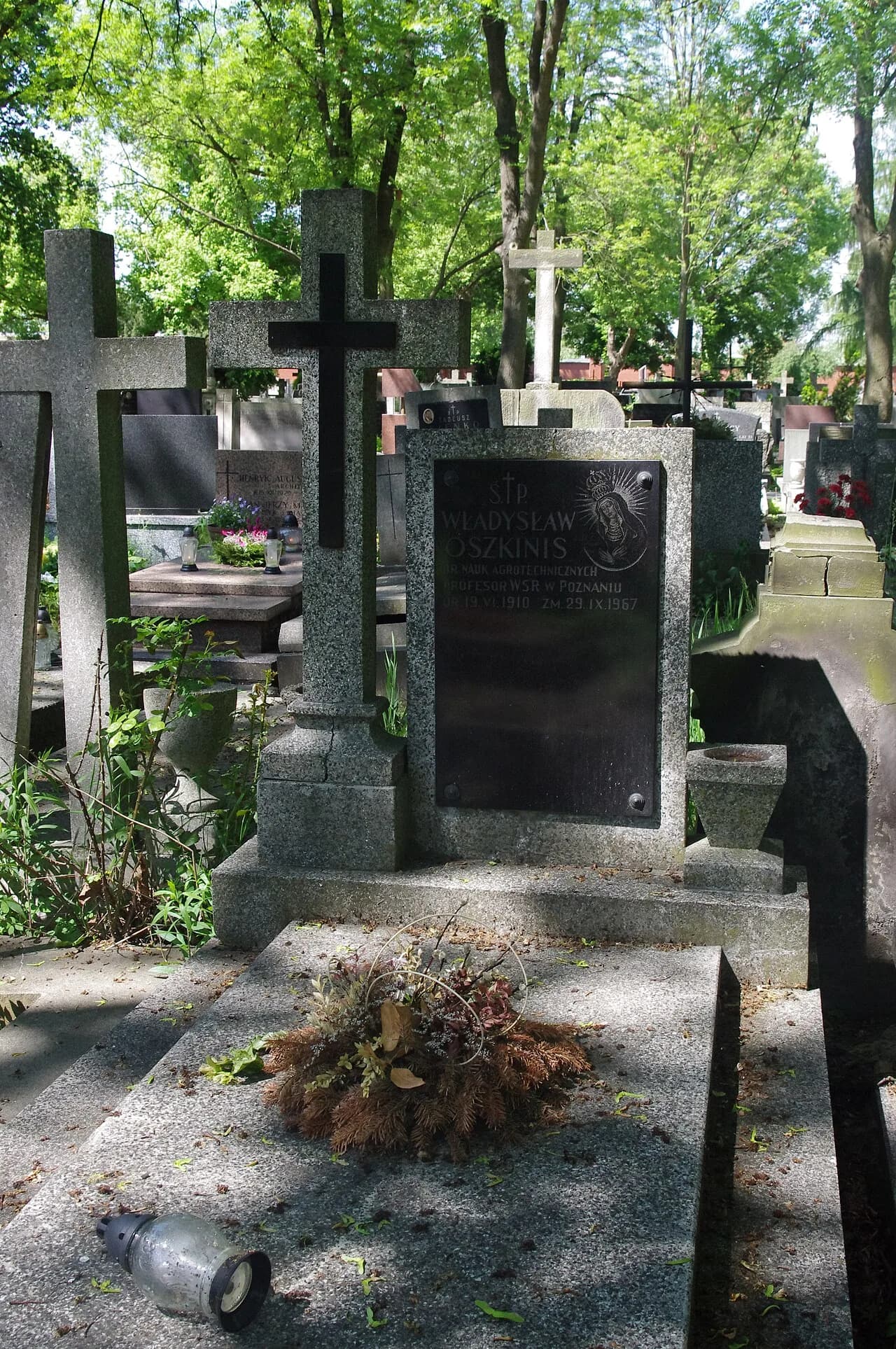 Władysław Oszkinis
