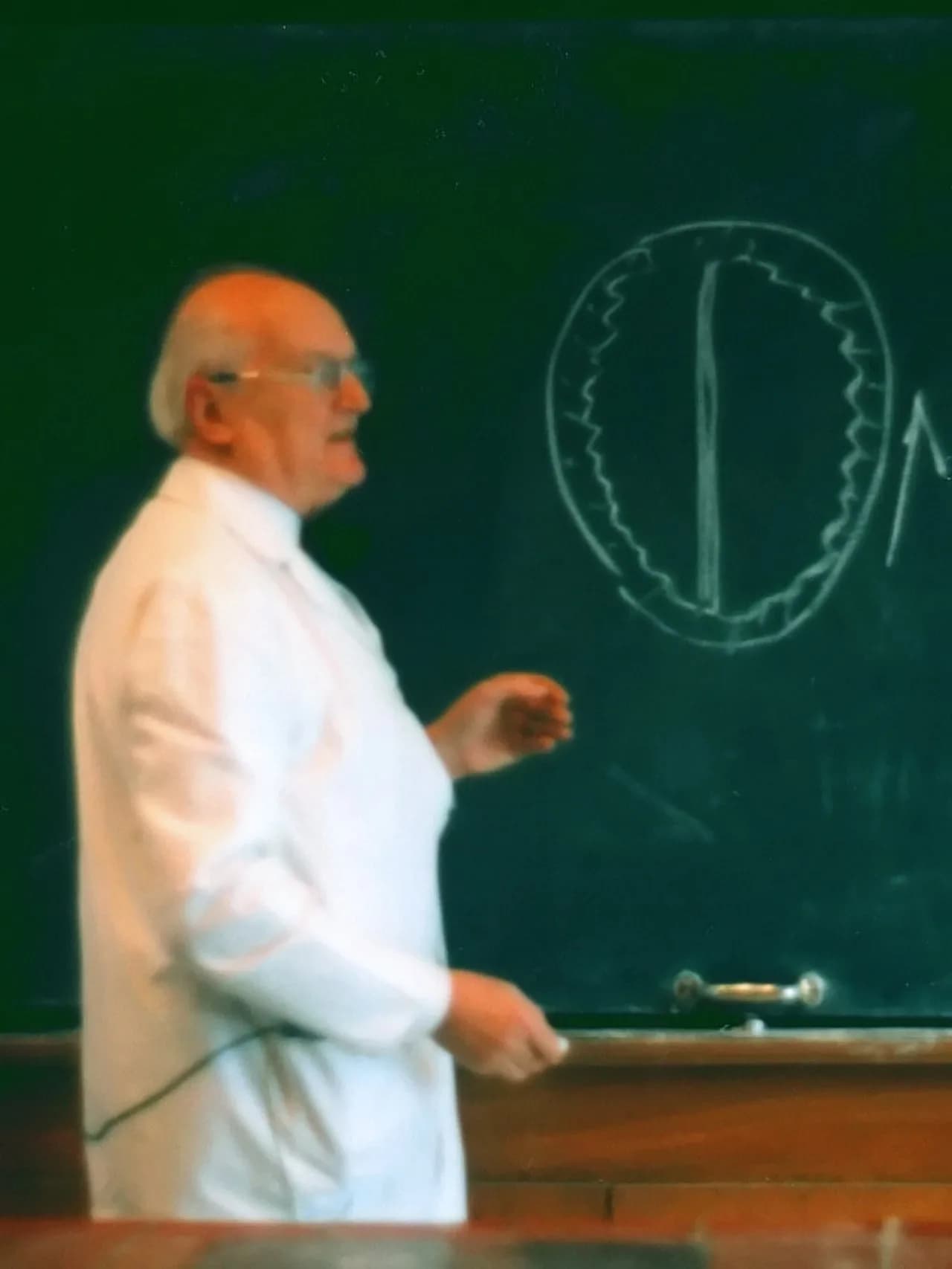 Otto Prokop