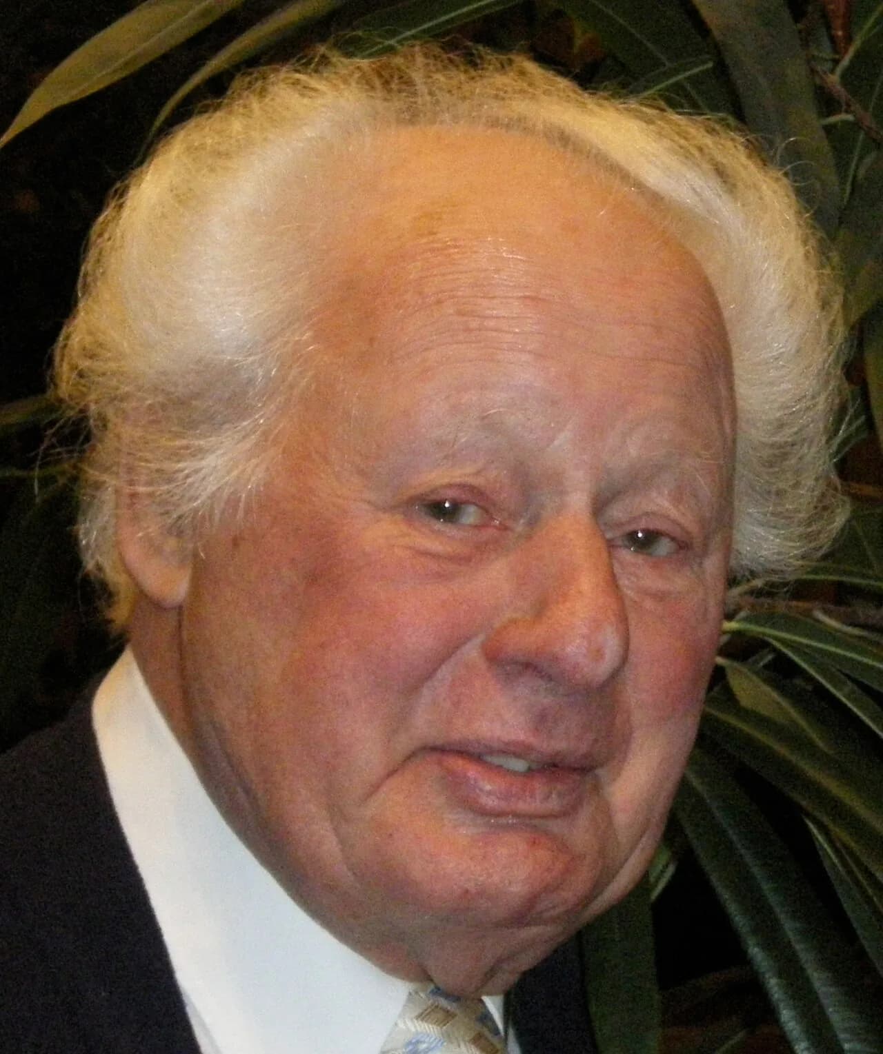 Hansjörg Swetina
