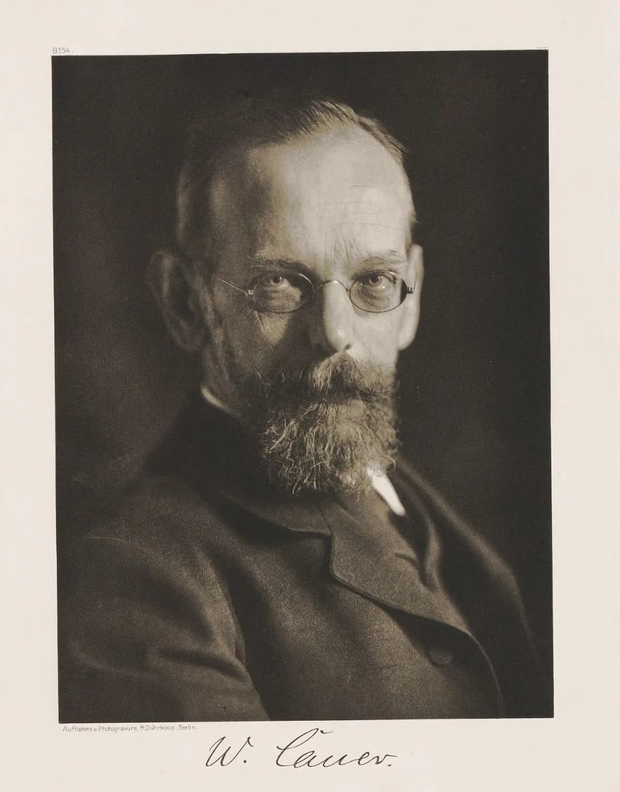 Wilhelm Cauer
