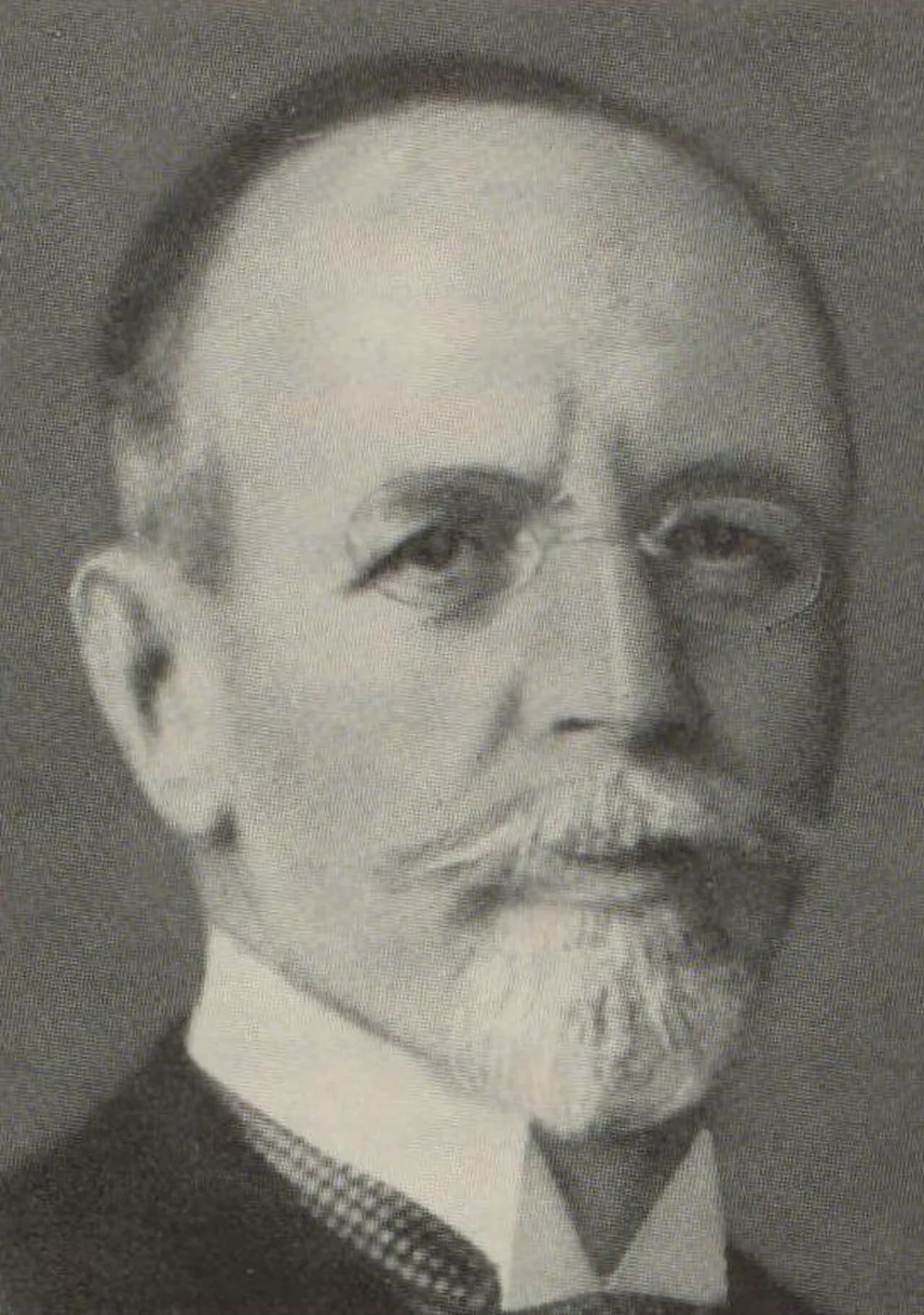 Wilhelm Wolf