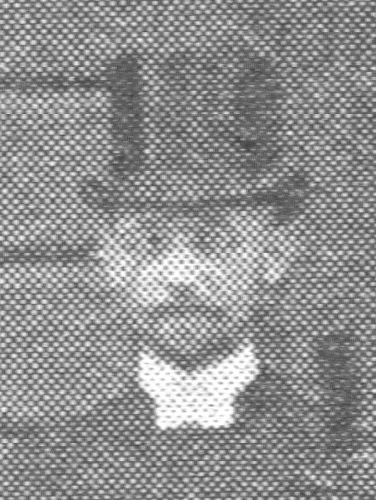 Johannes Rosenfeld
