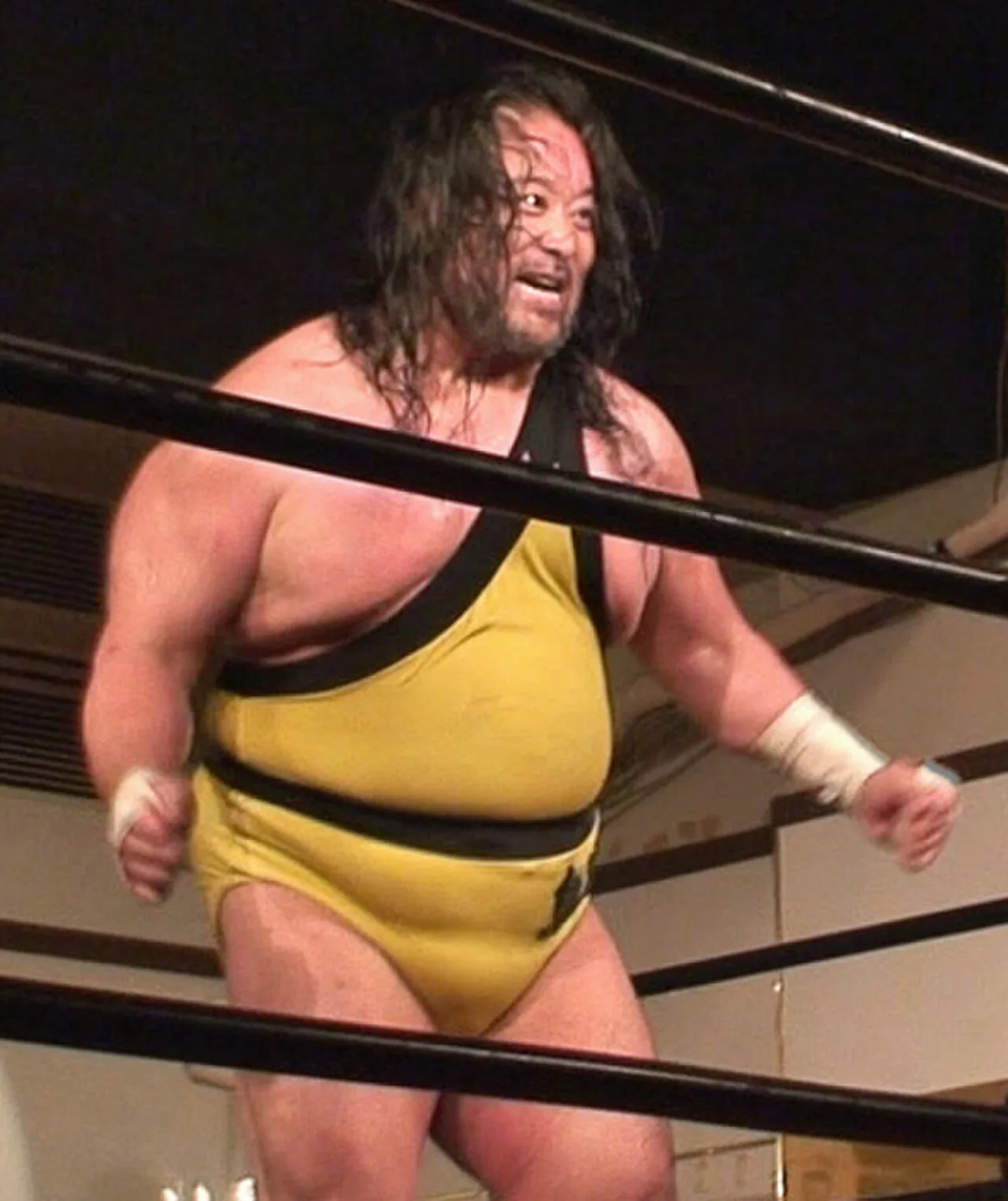 Tarzan Goto