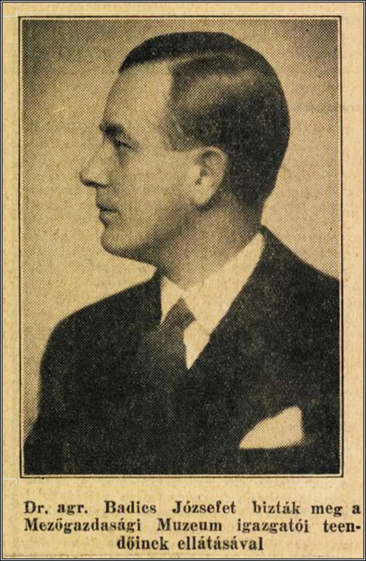 József Badics