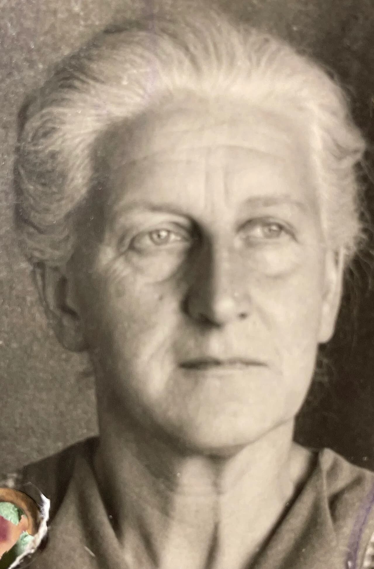 Hertha Sauer
