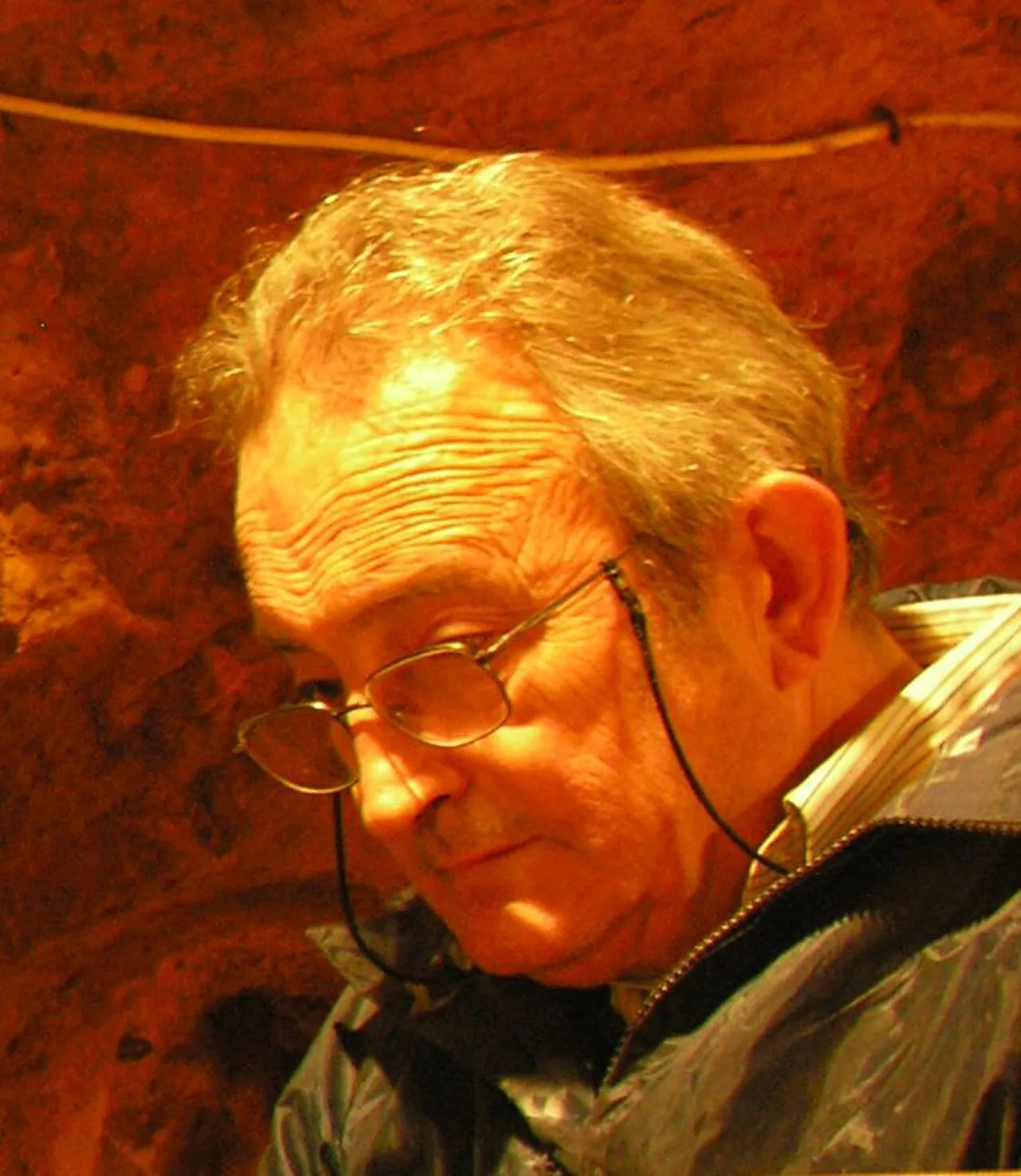 Francisco Javier Fortea Pérez