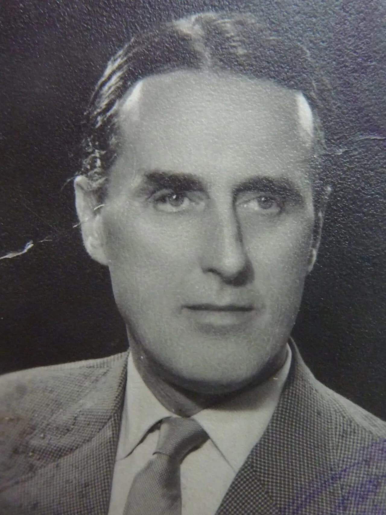 Metod Pogačnik