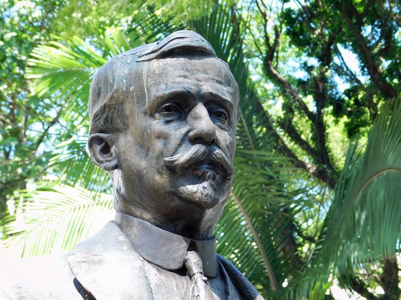 Arnaldo Vieira de Carvalho