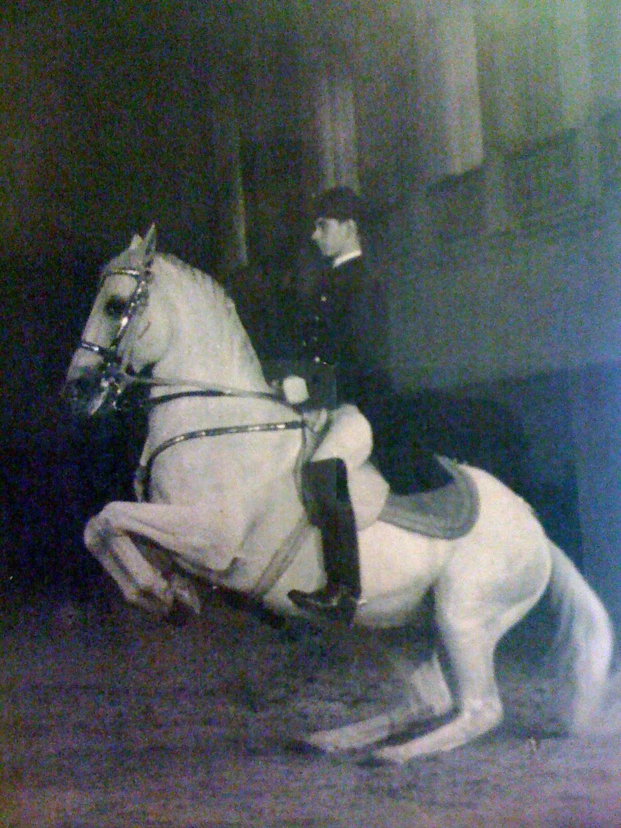 Georg Wahl