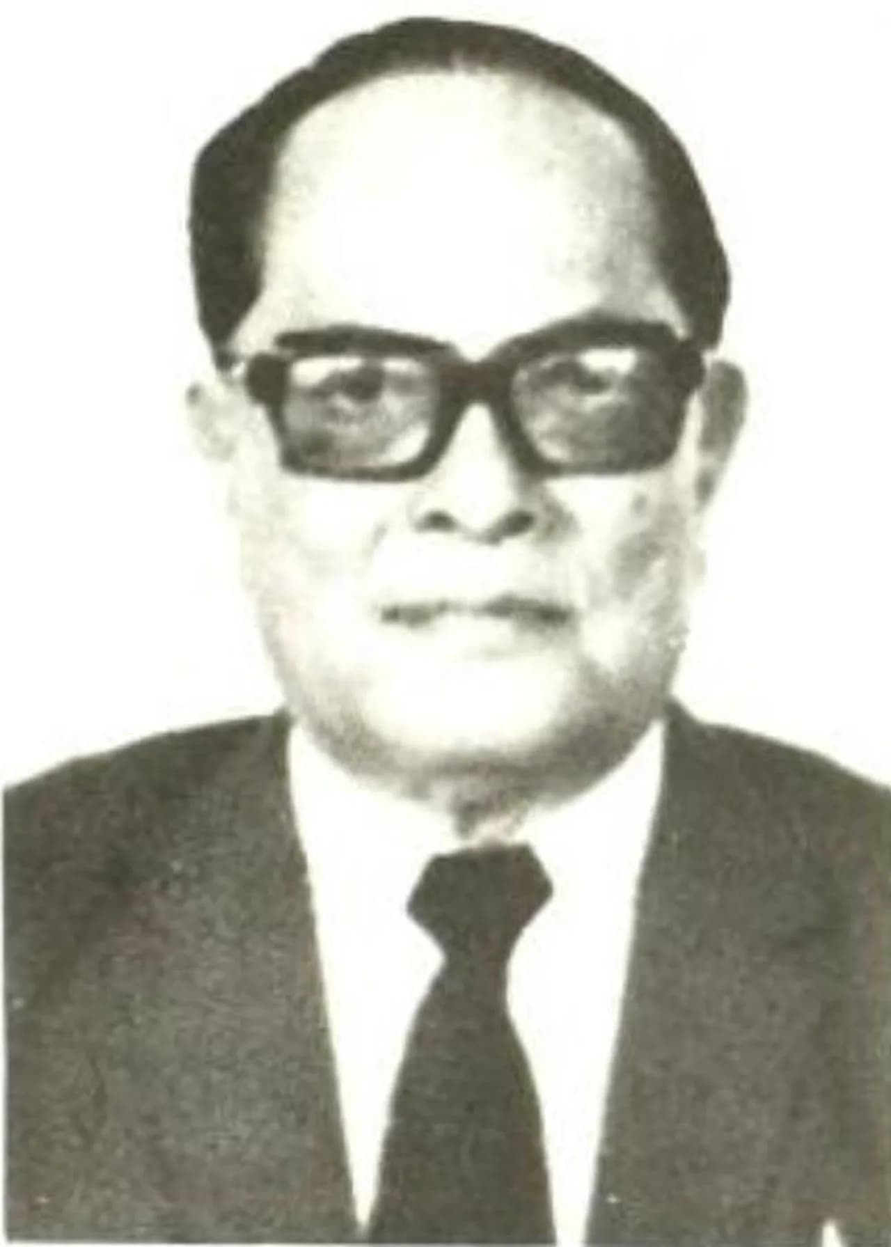 Raja Junjungan Lubis