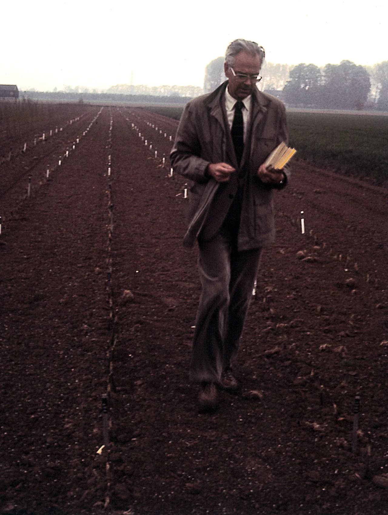 Hans M. Heybroek