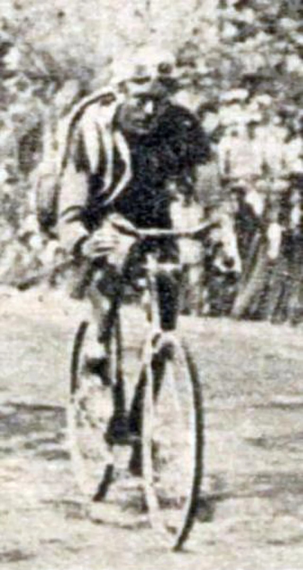 Albert Dejonghe