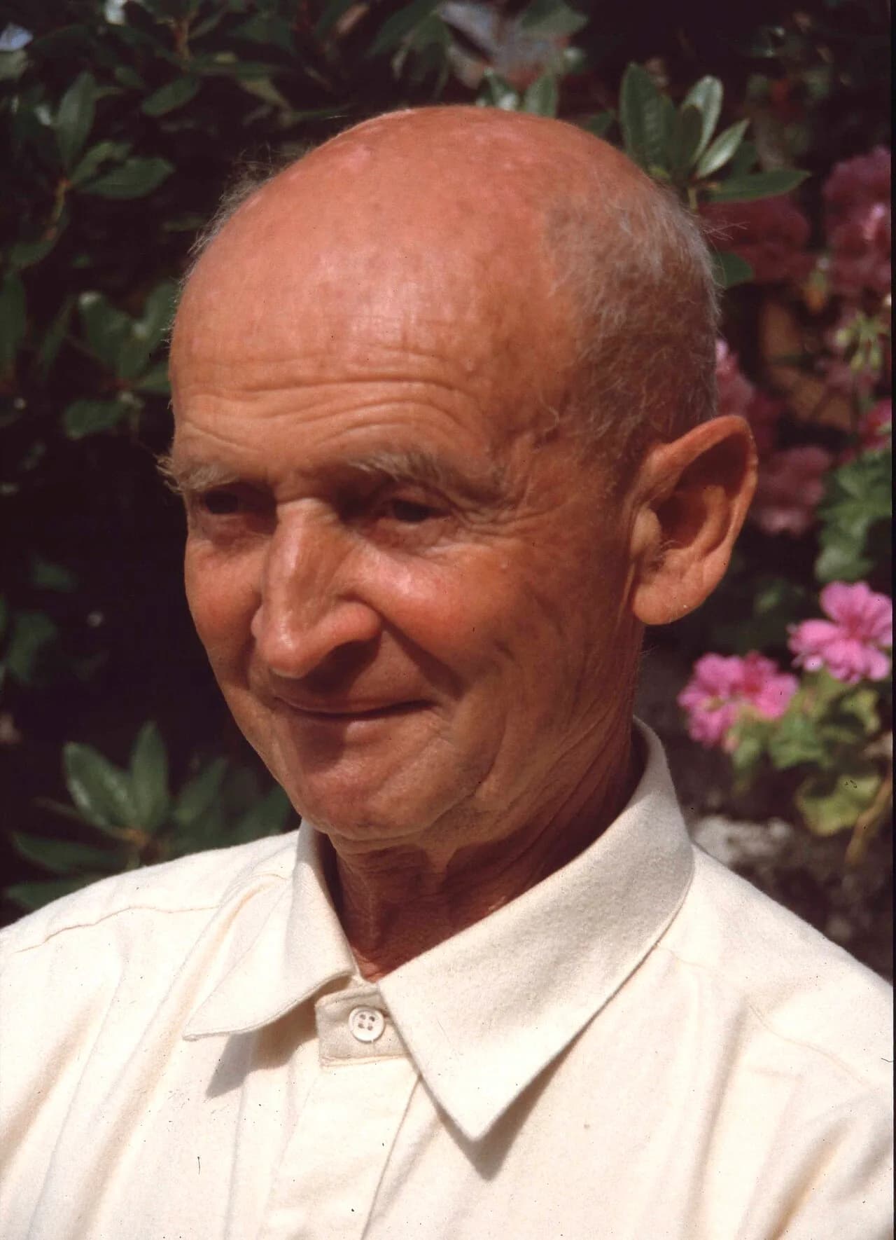 Willy Cullmann