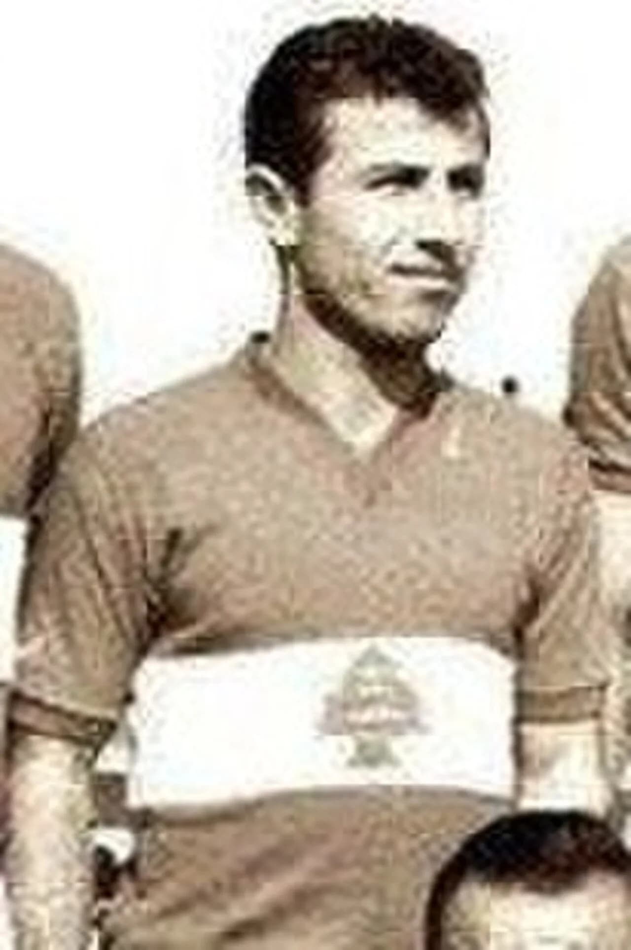 Muhieddine Itani