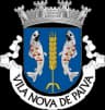 Wappen von Vila Nova de Paiva