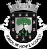 Coat of arms of Sobral de Monte Agraço