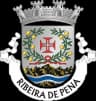 Coat of arms of Ribeira de Pena