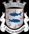 Wappen von São João da Pesqueira