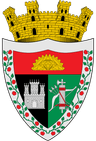 Coat of arms of Duitama