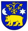 Coat of arms of Hrochoť