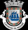 Wappen von Gafanha da Nazaré