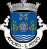 Wappen von São Pedro de Avioso