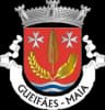 Wappen von Freguesia de Gueifães