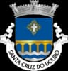 Wappen von Freguesia de Santa Cruz do Douro