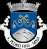 Wappen von São Pedro Fins