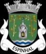 Coat of arms of Espinhal