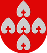 Wappen von Pyhäselkä
