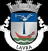 Wappen von Freguesia de Lavra