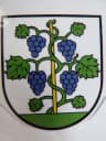 Coat of arms of Žibritov
