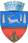 Wappen von Bacău