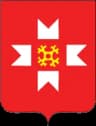 Coat of arms of Mozhginsky District