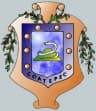 Coat of arms of Coatepec