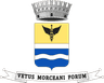 Wappen von Morciano di Romagna
