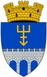 Coat of arms of Edineț