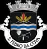 Coat of arms of São Pedro da Cova
