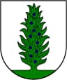 Coat of arms of Piliuona