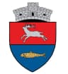 Coat of arms of Băcani