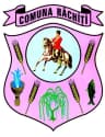 Coat of arms of Răchiți