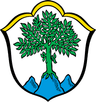 Wappen von Aschau im Chiemgau